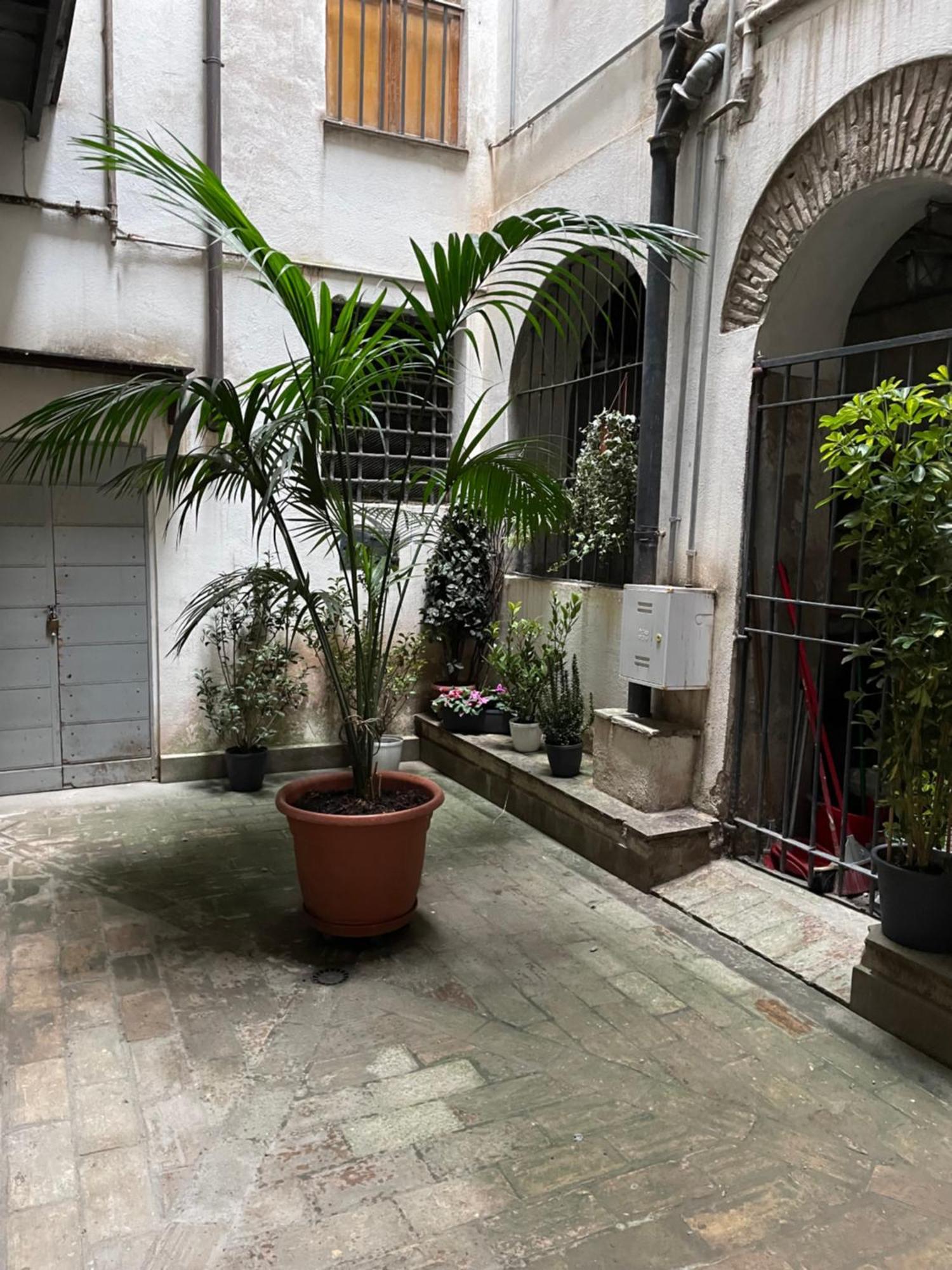 Piazza Farnese Διαμέρισμα Ρώμη Εξωτερικό φωτογραφία